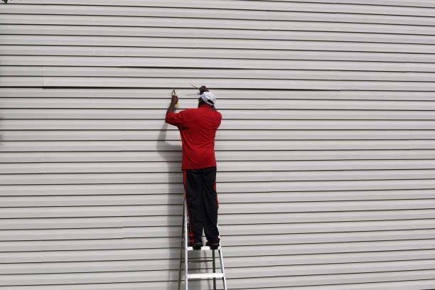 Best Aluminum Siding Installation  in Elgin, MN